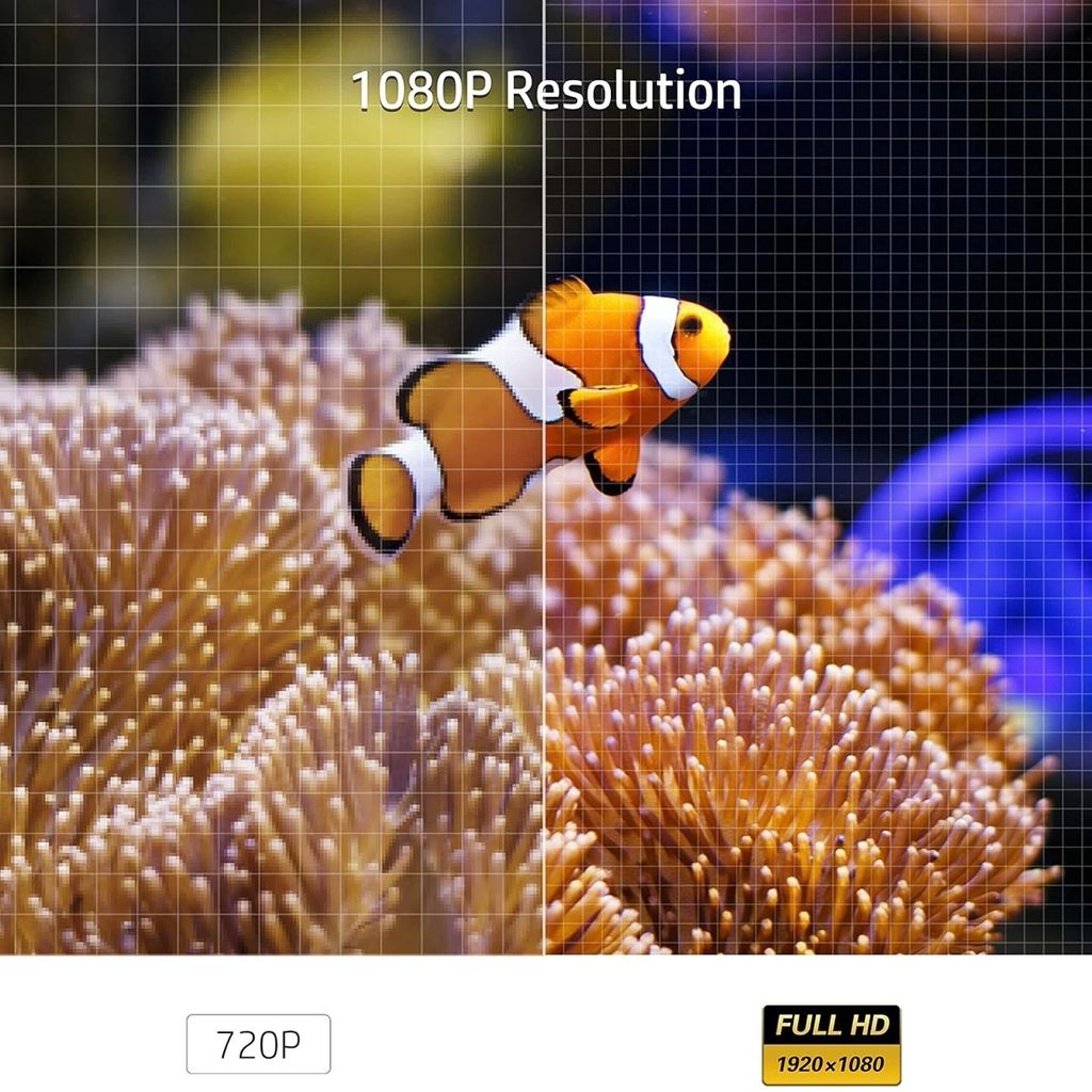 1770187455228-1766325815611-img29131024x1024.jpeg